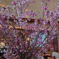 MAIN DINING sereno(THE MARK GRAND HOTEL) - 