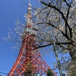 板前料理感菜 - 