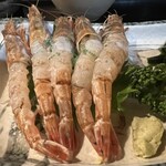 炉端 留味庵 - 