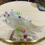 麻布 鮨 翠九龍 - 