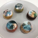 HOSHINO DESSERT ART - 