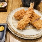 Tonkatsu Ekkusu - 