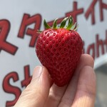 姫路ハートフル観光農園 - 