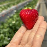 姫路ハートフル観光農園 - 