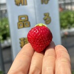 姫路ハートフル観光農園 - 