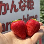 姫路ハートフル観光農園 - 