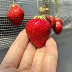 姫路ハートフル観光農園 - 