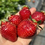 姫路ハートフル観光農園 - 