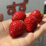 姫路ハートフル観光農園 - 