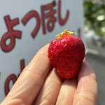 姫路ハートフル観光農園 - 