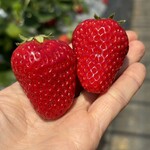 姫路ハートフル観光農園 - 