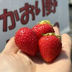 姫路ハートフル観光農園 - 