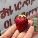 姫路ハートフル観光農園 - 