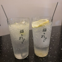 恵比寿ビストロ 猫も杓子も - ラモンサワー/ネコシャクレモン