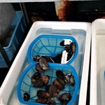 さいき海の市場〇 - 