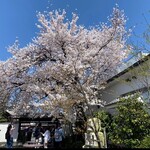 黄桜酒場 - 