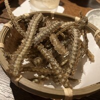 新宿うな鐵 はなれ - 