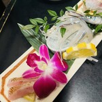 Katsugyo Sushi Shoumi - 