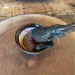 Terroir愛と胃袋 - 