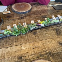 Terroir愛と胃袋 - 