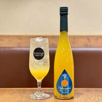 熊本　デコポン
