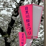 MARZAC 7 - 目黒川の桜を見に