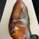 Itaria Ryourikui - 石川県より届く新鮮な魚介類