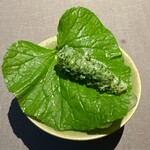 茶禅華 - 葉山葵　海月