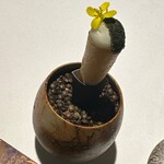 ラ・ヴァガボンド - 蕪　西洋たんぽぽ　富山の白海老　レンズ豆のサラダ