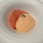 ラ・ヴァガボンド - ブラッドオレンジ　不知火(デコポン) グラニテ　エスプーマ