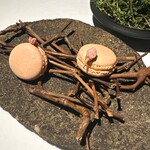 ラ・ヴァガボンド - 