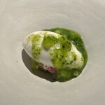 茶禅華 - 静岡のキーウィ　ココナッツアイスクリーム