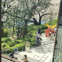 赤坂 桃の木 - 