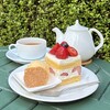 Salon de the m.s.h - ガトー フレーズ、自家製アイスとチュイール添え、TEA タルトシトロン♡