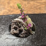 焼肉うしどし - 