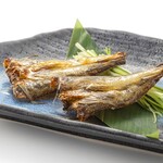 Toukyou Sushi Itamae Sushi Puraimu - 