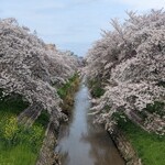 バンケッティ - 