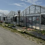 石橋いちご園 - 