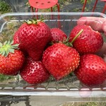 石橋いちご園 - 