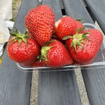 石橋いちご園 - 