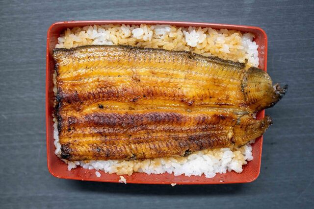 Unagi Kawakame