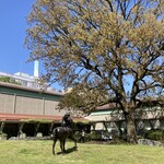 セタビカフェ - 