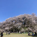 セタビカフェ - 