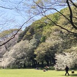 セタビカフェ - 