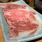 Taishuu Yakiniku Horumon Tenyou - 