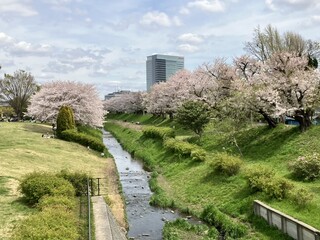 Maruyoshi Suisan - 