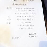 雪梅花 菜根譚 - 