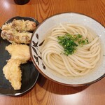 考えるな、うどん食え。 - 天ぷら2種盛りうどん 冷かけ