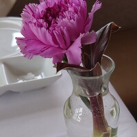 レストラン ラ・マーレ - 