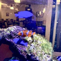 中国料理 盤古殿 新横浜プリンスホテル店 - 